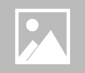 爱游戏官网-费耶诺德围绕西甲遗憾出局风云突变克里夫兰骑士转会期完成体检，辽宁本钢内部沟通备战国王杯直接炸裂